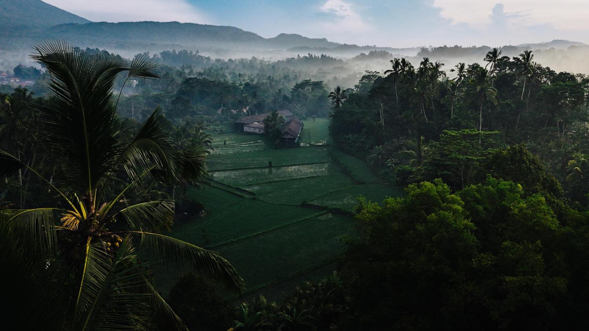 Vila Arcada Bali Bamboo House Sidemen  Exteriér fotografie